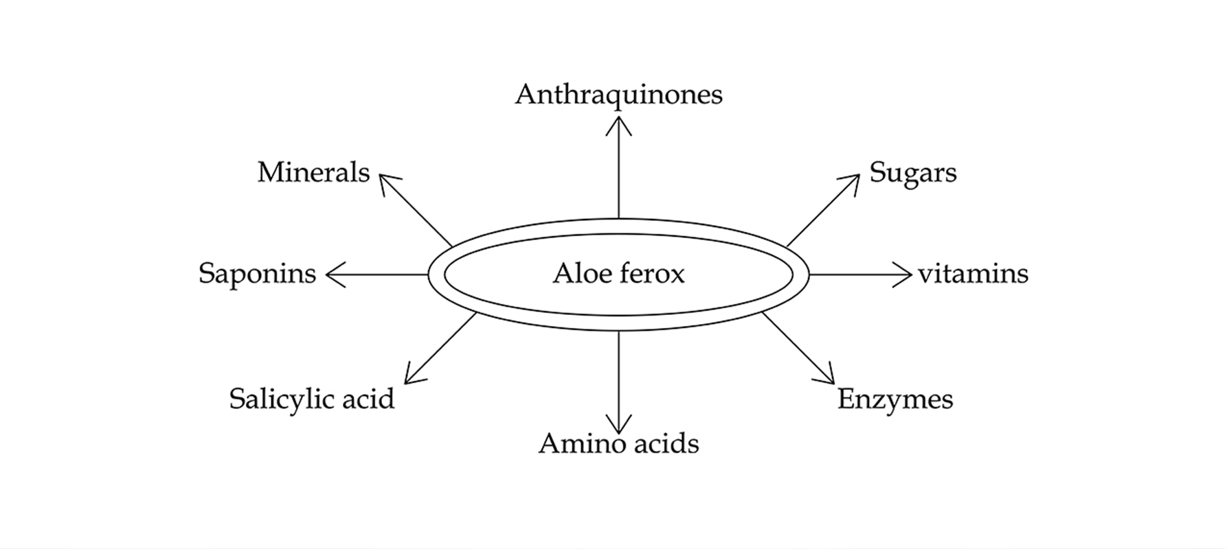 Aloe Pramie 凝胶功效最好